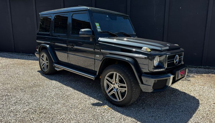 WhatsApp Image 2026-03-13 at 11.29.35